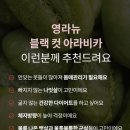 블랙컷
