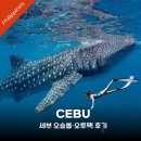 오투 | 세부 오슬롭·투말록 오투팩 후기｜11~12월 여행 필수 체크