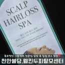 웰킨두피탈모센터천안신불당점 | [천안탈모]웰킨두피탈모센터천안신불당점:천안탈모 검사 두피케어 를 한번에👌