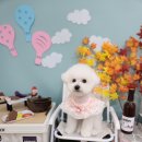 아이러브멍 이미지