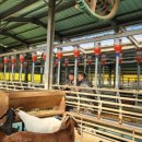 송동축사 이미지