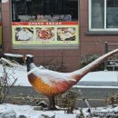 양지말가든 이미지