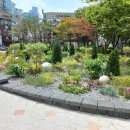 부천-중동-부천-031 이미지