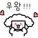 미스터박 카페 앞 이미지