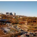 항동 골든클래스 이미지