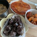 경성꽈배기 티스토리