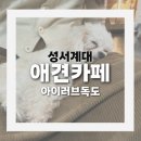 아이러브독도 | 대구 이색데이트 성서계대 다양한동물 애견카페 강아지카페아이러브독도