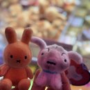 우리동네 독서리더 | 26년 새해 일기