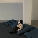 금샘동물병원 | 2023년 1,2월 이모저모