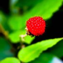 제주 올레길 3코스 A 이미지