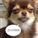 요가(주간) 이미지