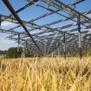 해양태양광발전소 이미지