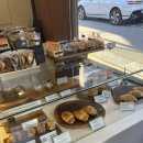 오델리스 이미지