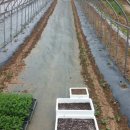 여주-0710 이미지