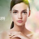 주식회사 이앤코리아 이미지