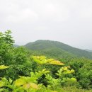 싸리재샘 이미지