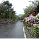 각원사길 이미지