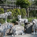 대웅주유소 이미지