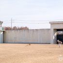 반려식탁 이미지