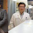 테라메딕스 이미지