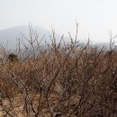 노고단-2 이미지