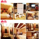 시네마모텔 이미지