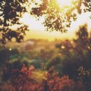 어명이요 - 유성구 신성남로 140 | 어명이요