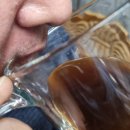 완도 정자리 황칠나무 | 황칠나무진액 후기｜무설탕·무첨가물 부모님 건강선물