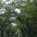 설악산매표소 | 설악산 케이블카 후기｜주차, 가격, 일요일 오전 대기시간｜속초 가족여행 추천