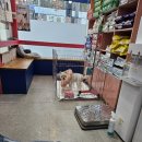 응암동물병원 이미지