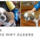 도림장여관 이미지