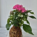 윤희공방 이미지