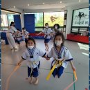 용인대 미래 태권도 이미지