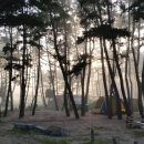 만길호좌대 네이버블로그