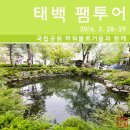 태백서학한우촌 | 태백산 국립공원 지정 답사여행 태백 팸투어 (2016. 5. 28~29)