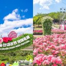 큐피드 푸드트럭 이미지