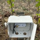 팔공SS오토캠핑장 | 대구 팔공산 캠핑장 팔공마루오토캠핑장 2번 사이트 후기