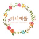 라니꽃떡 | +라니에뜰+ 스튜디오 돌촬영용 떡케이크 / 원주 / 떡케이크 / 앙금플라워 / 원주앙금 / 원주돌상 / 원주...