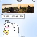 서영 작은도서관 | [11] 나랑 같이 걸을래