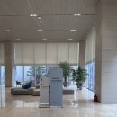 유한회사 디앤디드림 | 디앤디파마텍 주주총회(26.03.30)