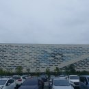 시립점자도서관 | 가을에 아이와 가기 좋은 세종 시립도서관 방문 후기
