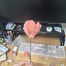 대학플스 | 일하고 여행하느라 바빴던 3월