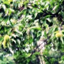 경운사(상) 이미지