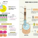 미헤어크리닉 이미지