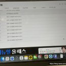 [남부] (야간)중국어회화 초급(2025) | 베트남어 인강 추천 신짜오율쌤 내돈내산 올패스 공부 후기(신짜오율쌤으로 선택한 이유, 이벤트)