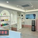 디어몽몽 이미지