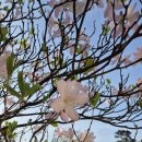 산음숲자연학교 | 5월 연휴 산음숲 자연학교 오토캠핑장