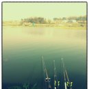 용성좌대 이미지