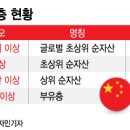 차이나부자