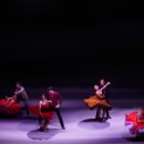 (공연) 체코 브르노 국립주니어 발레단 내한공연 이미지